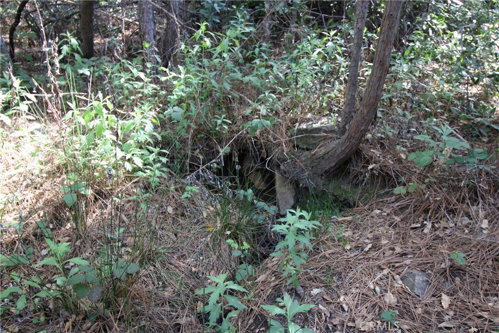 0 Black Bart Road Oroville, CA 95966 - Photo 18 of 38 a backyard of a house with lots of plants and trees