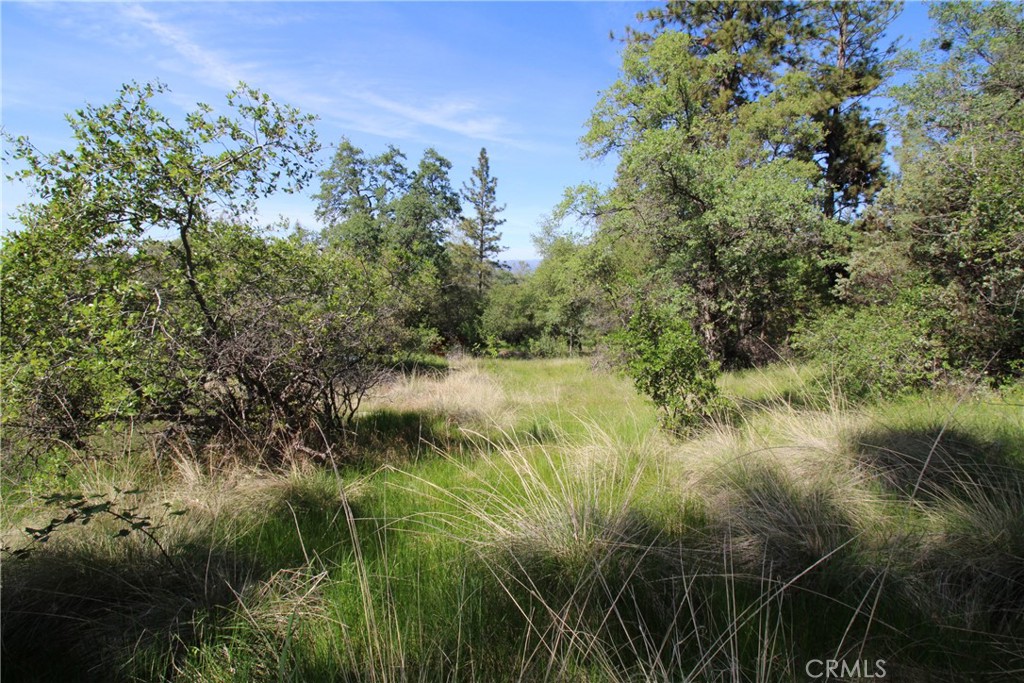 0 Black Bart Road Oroville, CA 95966 - Photo 25 of 38 a view of a lake with a tree