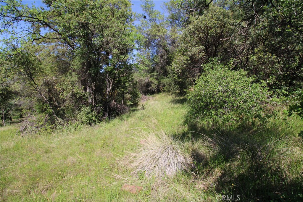 0 Black Bart Road Oroville, CA 95966 - Photo 26 of 38 a view of a yard