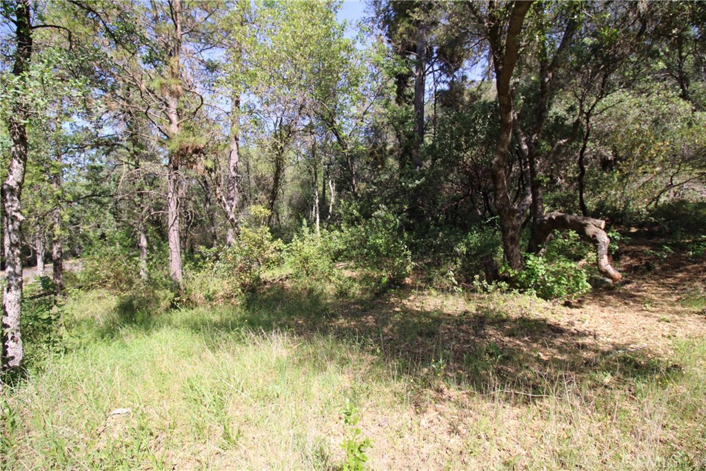 0 Black Bart Road Oroville, CA 95966 - Photo 27 of 38 a backyard of a house with lots of green space and trees all around