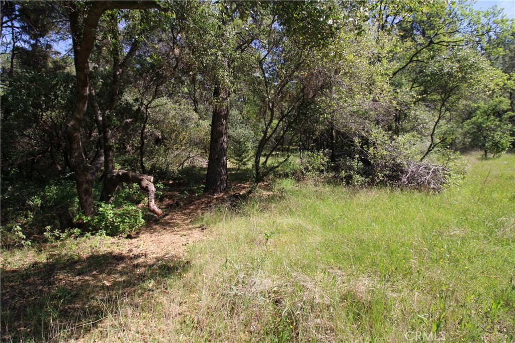 0 Black Bart Road Oroville, CA 95966 - Photo 28 of 38 a view of a yard with a tree