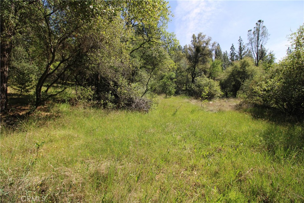 0 Black Bart Road Oroville, CA 95966 - Photo 29 of 38 a view of a yard with a tree