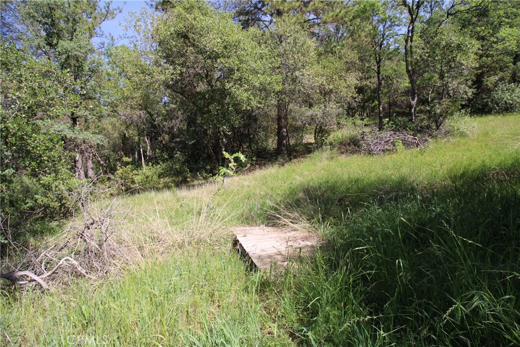 0 Black Bart Road Oroville, CA 95966 - Photo 30 of 38 a view of yard