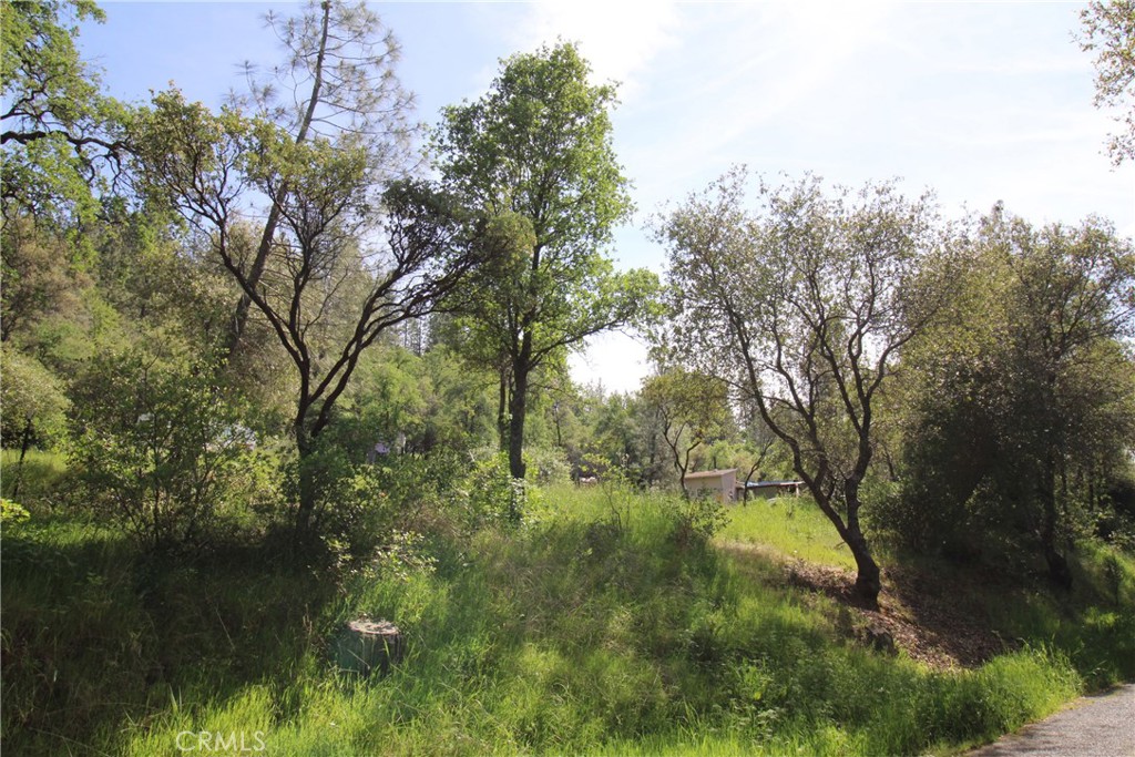 0 Black Bart Road Oroville, CA 95966 - Photo 34 of 38 a view of a garden