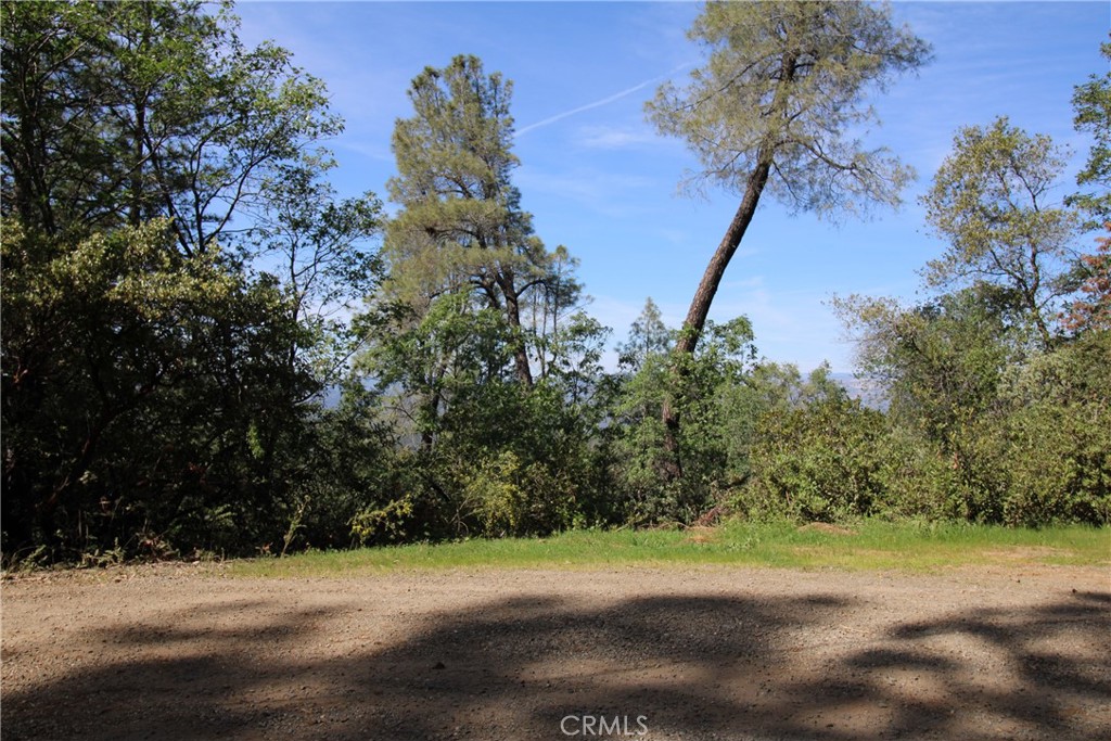 0 Black Bart Road Oroville, CA 95966 - Photo 35 of 38 a view of a yard with a tree