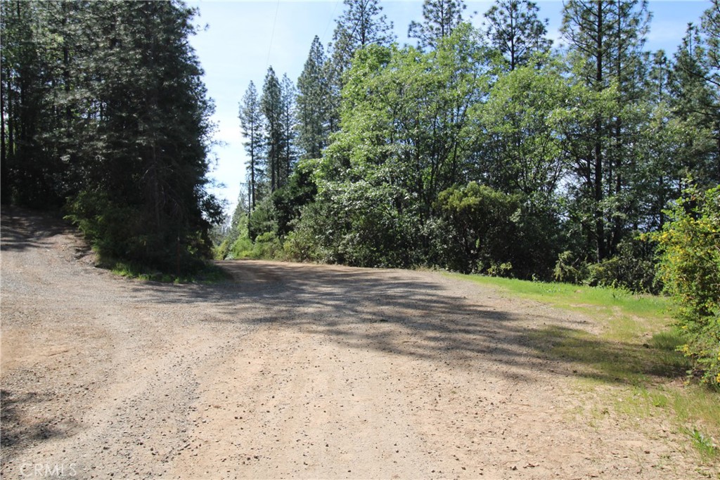 0 Black Bart Road Oroville, CA 95966 - Photo 37 of 38 a view of a yard with plants and trees