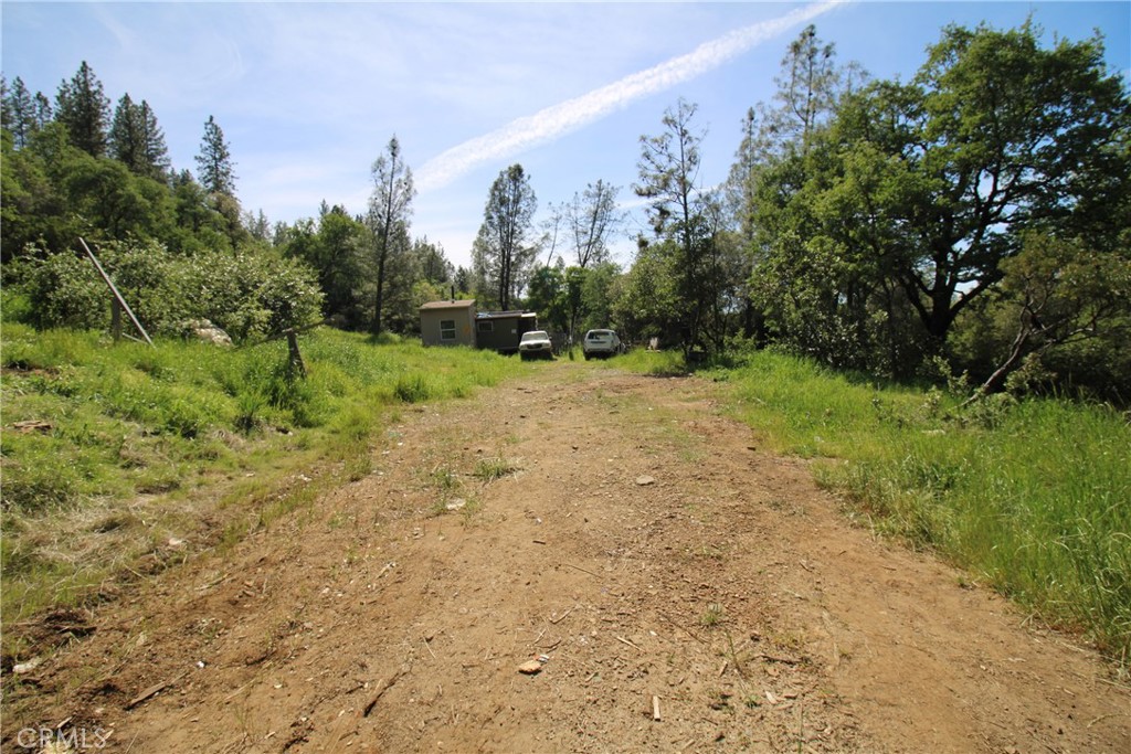 0 Black Bart Road Oroville, CA 95966 - Photo 4 of 38 a view of a yard with trees in the background