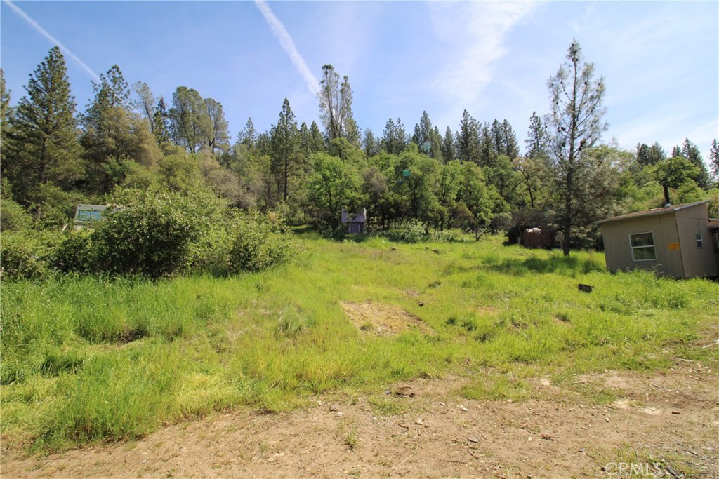 0 Black Bart Road Oroville, CA 95966 - Photo 5 of 38 a view of a garden with trees