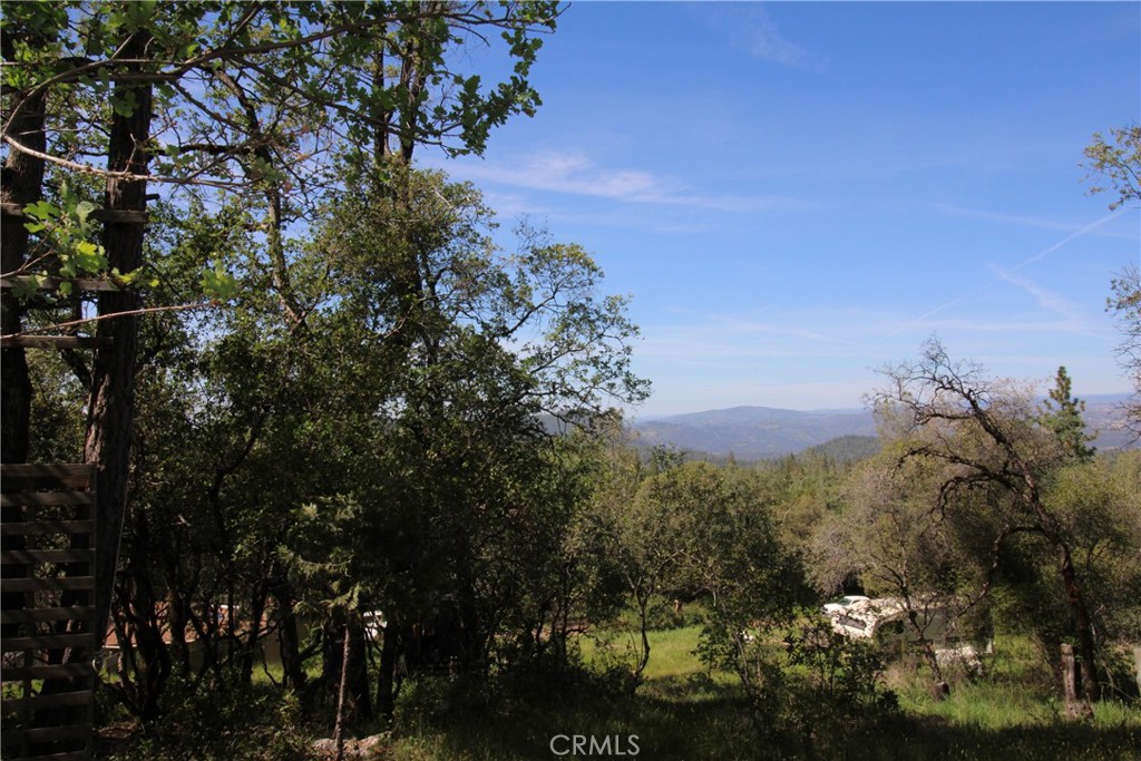 0 Black Bart Road Oroville, CA 95966 - Photo 6 of 38 a view of a city with lots of bushes