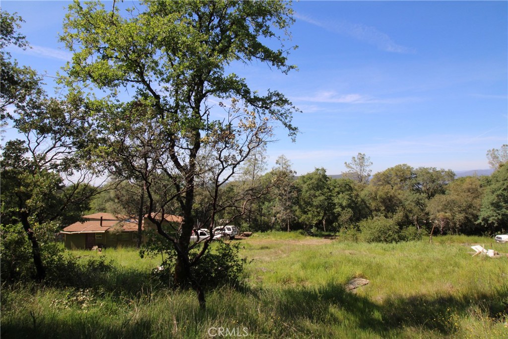 0 Black Bart Road Oroville, CA 95966 - Photo 9 of 38 a view of a yard with large trees
