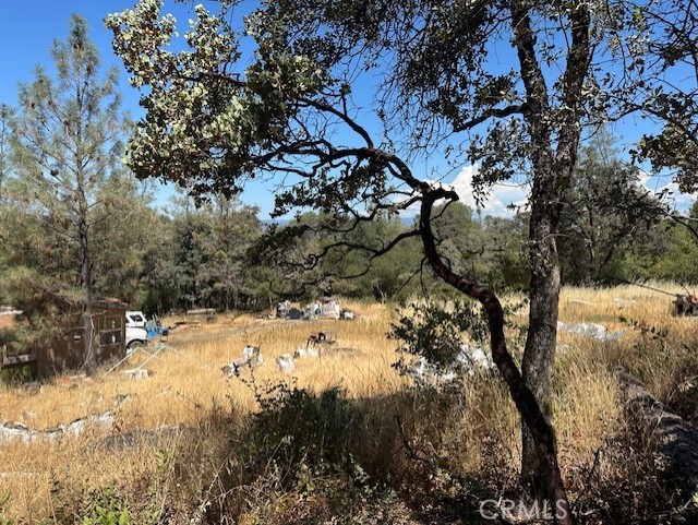 0 Black Bart Road Oroville, CA 95966 - Photo 9 of 16 a view of a yard covered in snow