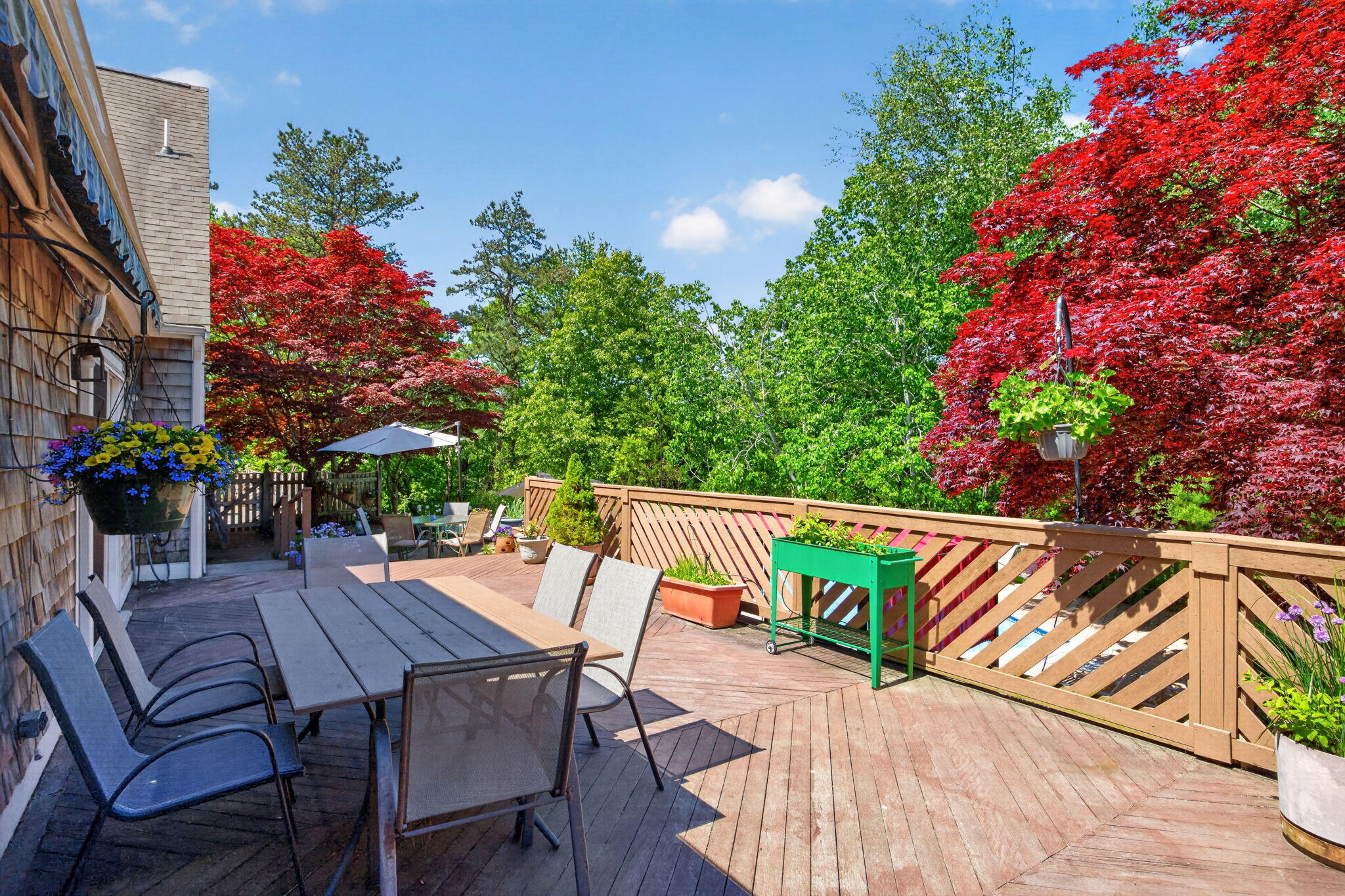 81 Indian Spring Road West Barnstable, MA 02668 - Photo 49 of 64 20-8P0A8715