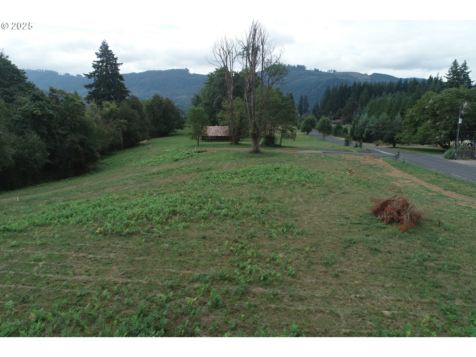 228 Wilkinson Road, Unit 1 Ariel, WA 98603 - Photo 2 of 9 Gallery Image 2