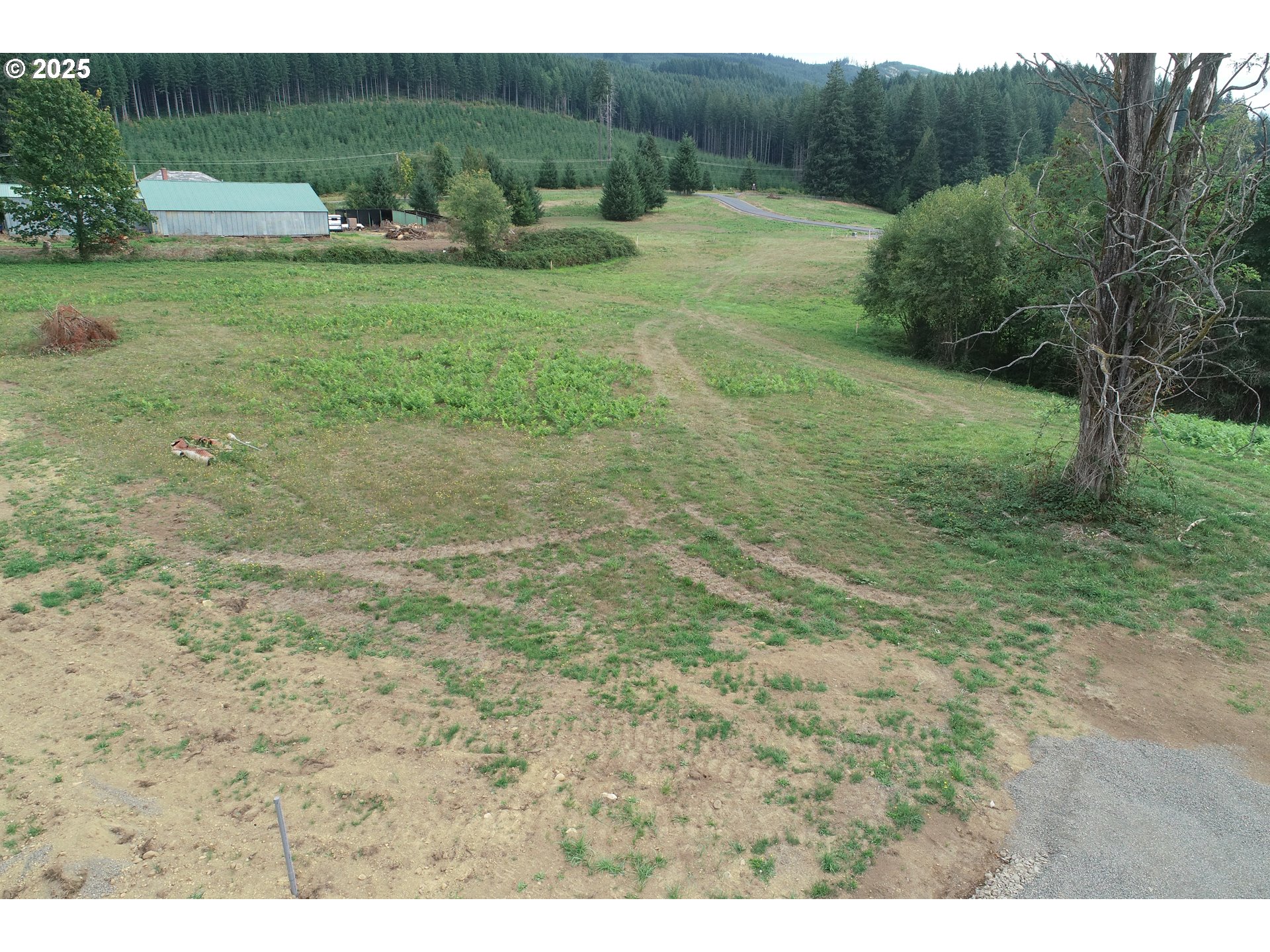 228 Wilkinson Road, Unit 1 Ariel, WA 98603 - Photo 4 of 9 Gallery Image 4