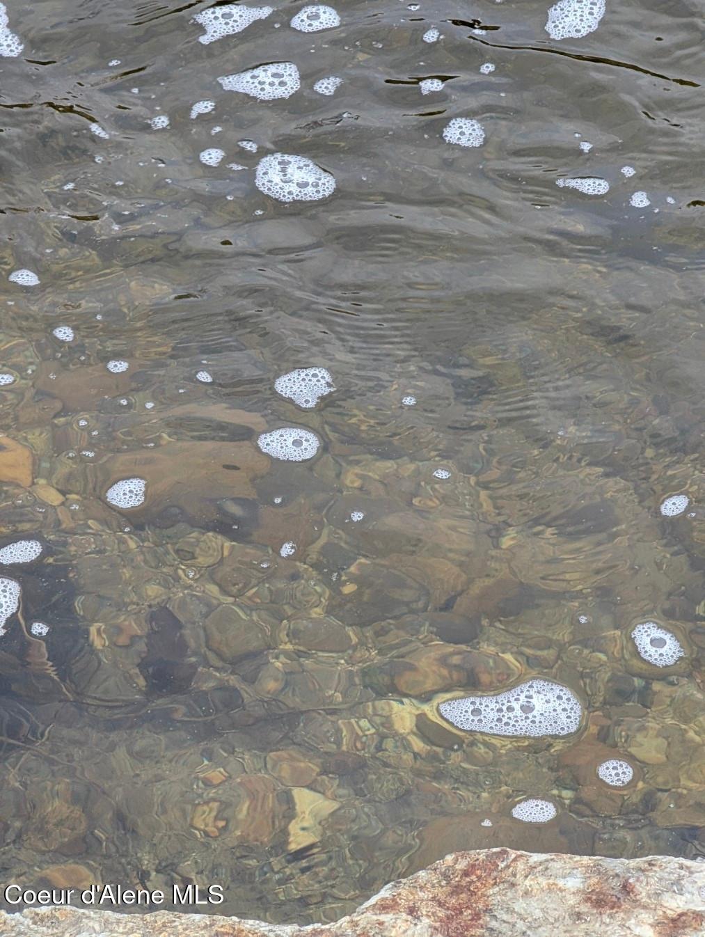 Lot 5 Fall Crk Road Naples, ID 83847 - Photo 11 of 24 Any fish?