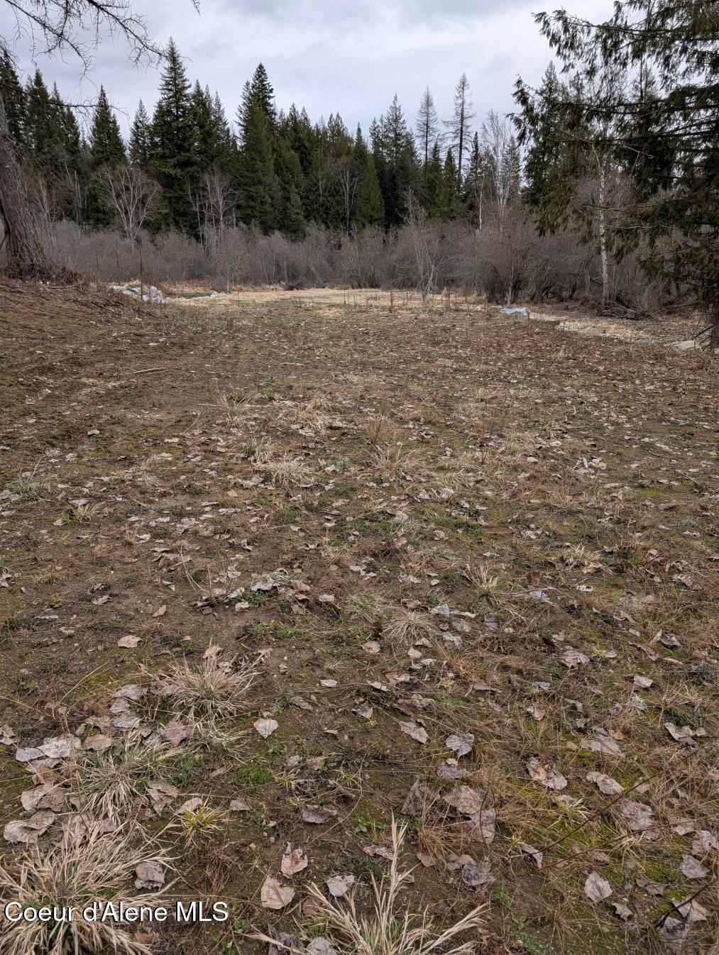 Lot 5 Fall Crk Road Naples, ID 83847 - Photo 16 of 24 fc 18