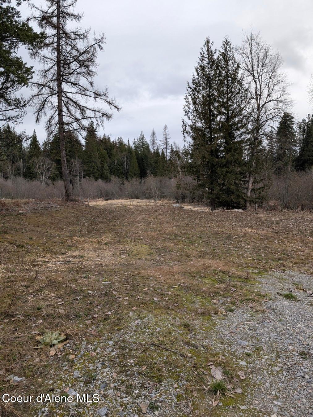 Lot 5 Fall Crk Road Naples, ID 83847 - Photo 18 of 24 fc 19
