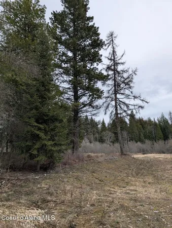 $225,000 | Lot 5 Fall Crk Road, Naples, ID 83847