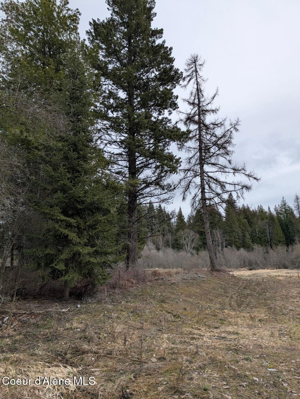 Lot 5 Fall Crk Road Naples, ID 83847 - Photo 20 of 24 fc 20