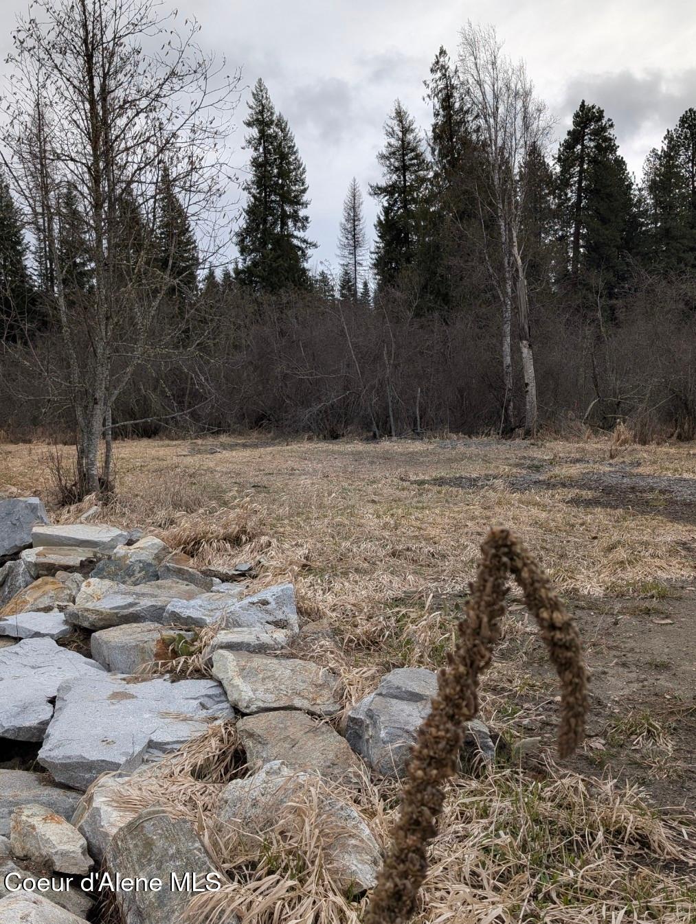 Lot 5 Fall Crk Road Naples, ID 83847 - Photo 9 of 24 fc 8