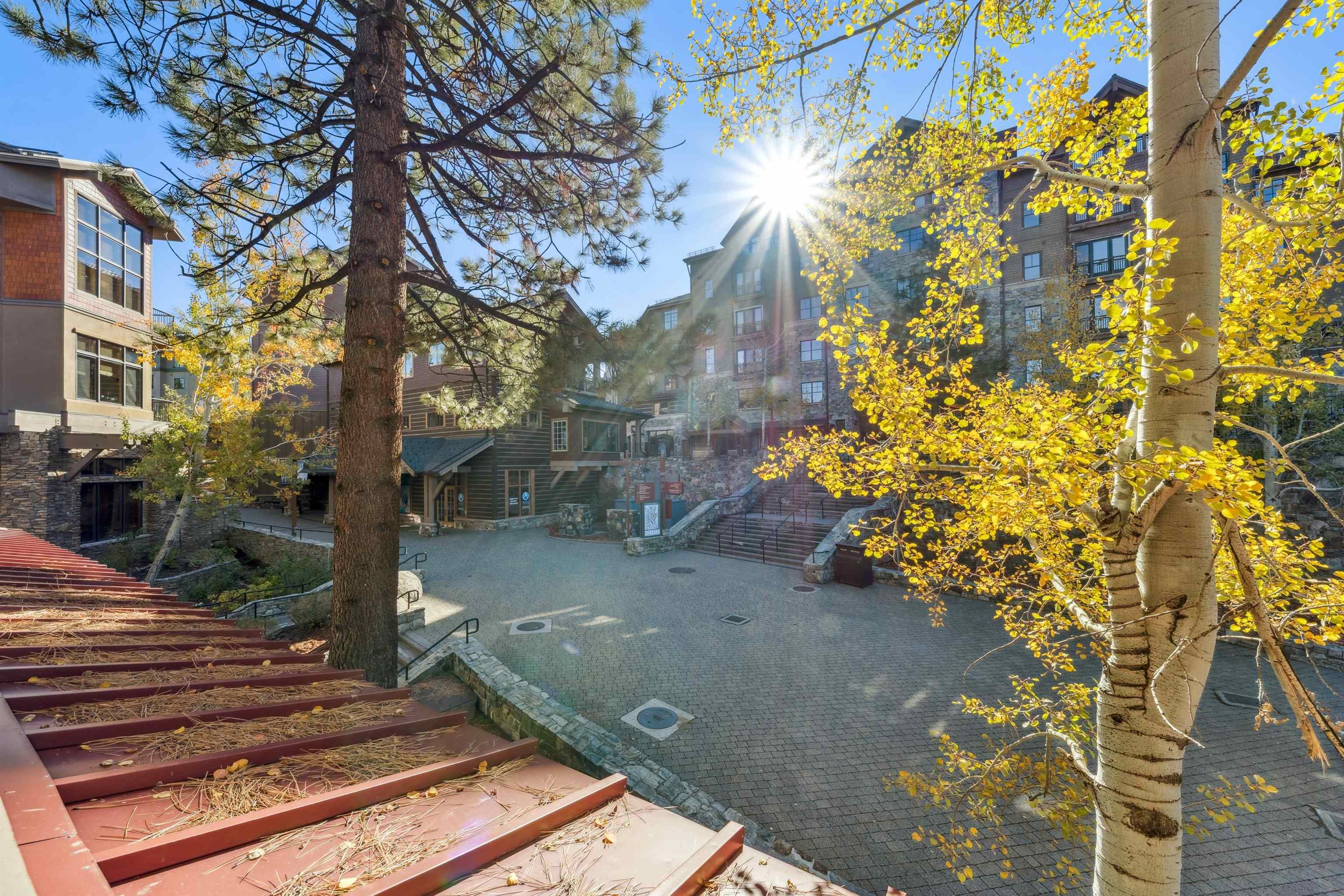 2000 North Village Drive, Unit 234 Truckee, CA 96161 - Photo 14 of 27 a view of yard