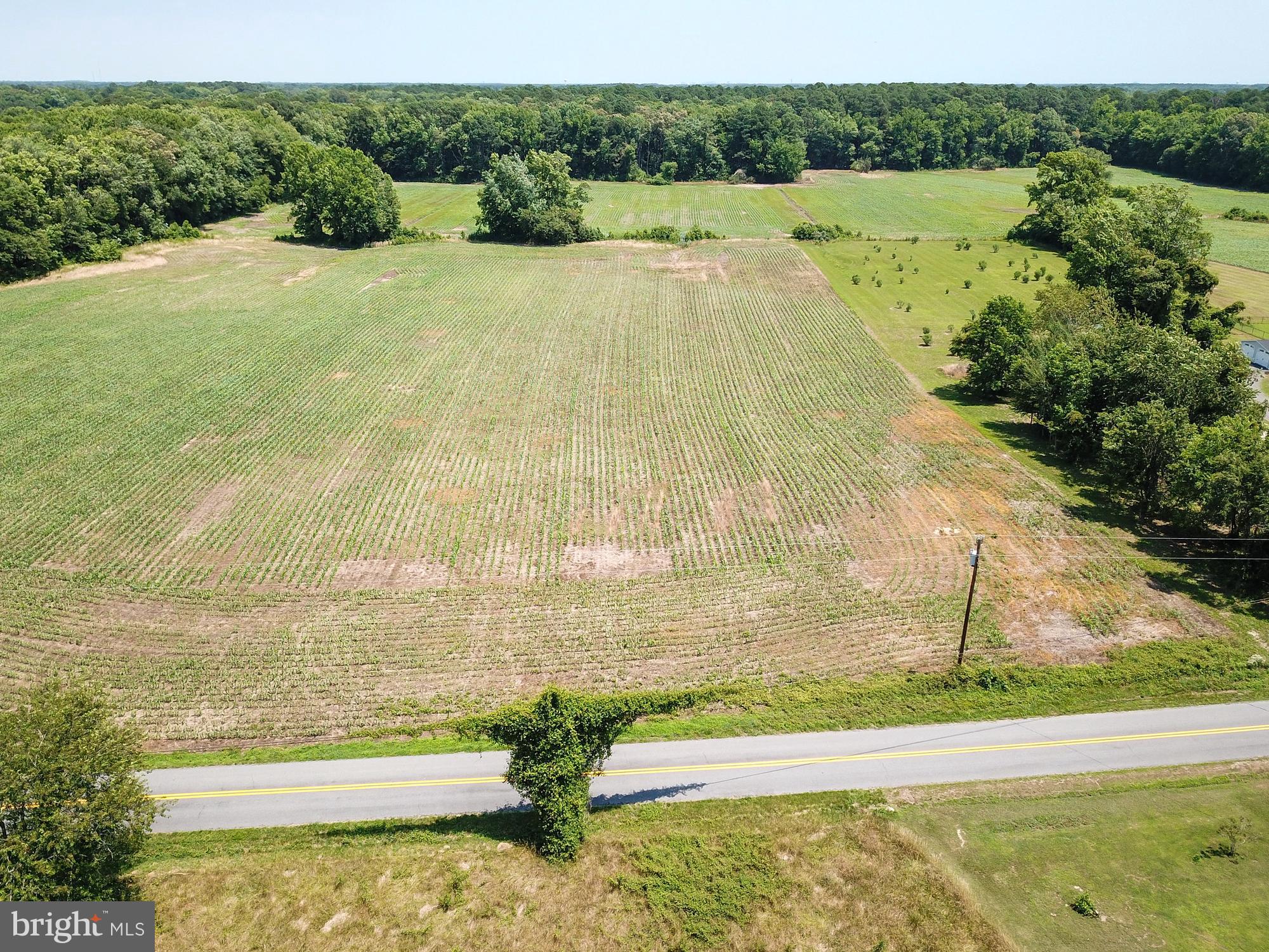 Dinges Road Berlin, MD 21811 - Photo 3 of 18