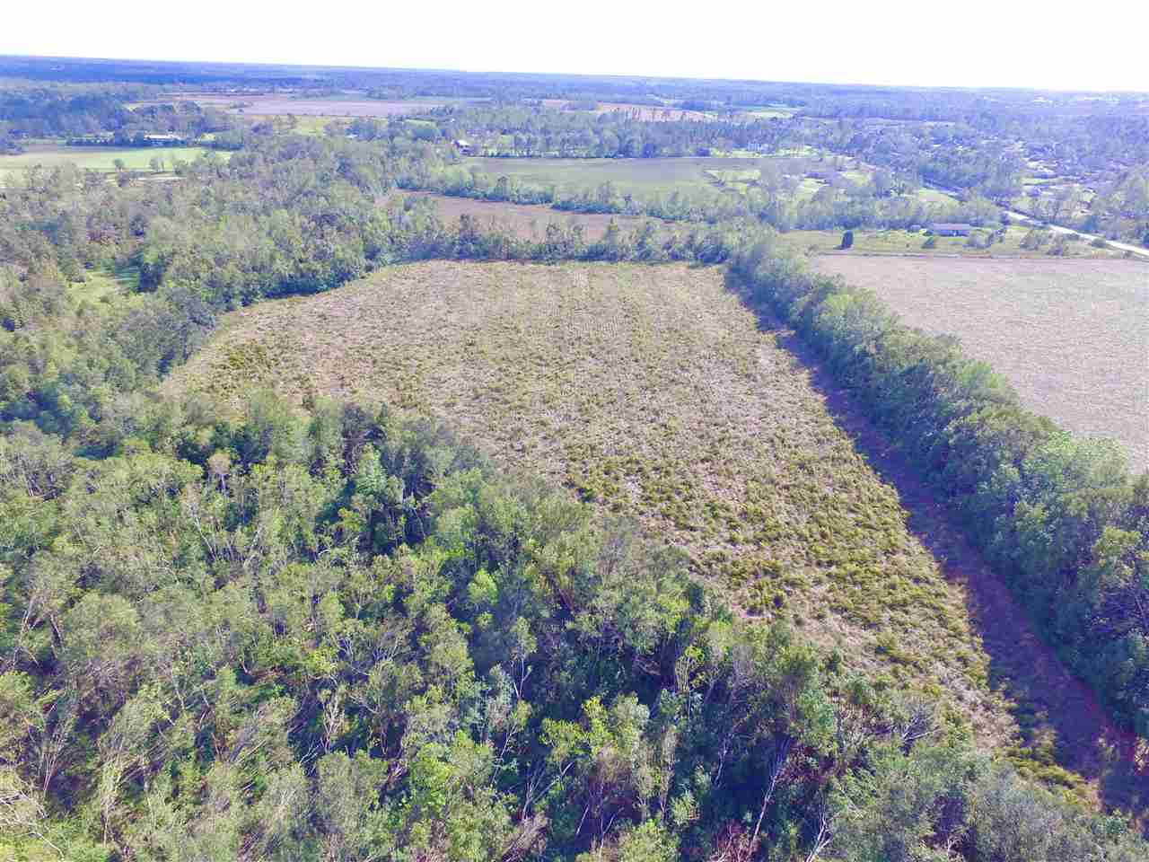 10260 County Road 32 Fairhope, AL 36532 - Photo 10 of 24