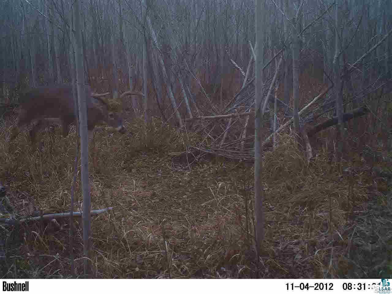 0 Deswart Road Herbster, WI 54844 - Photo 1 of 13 Gallery Image 1