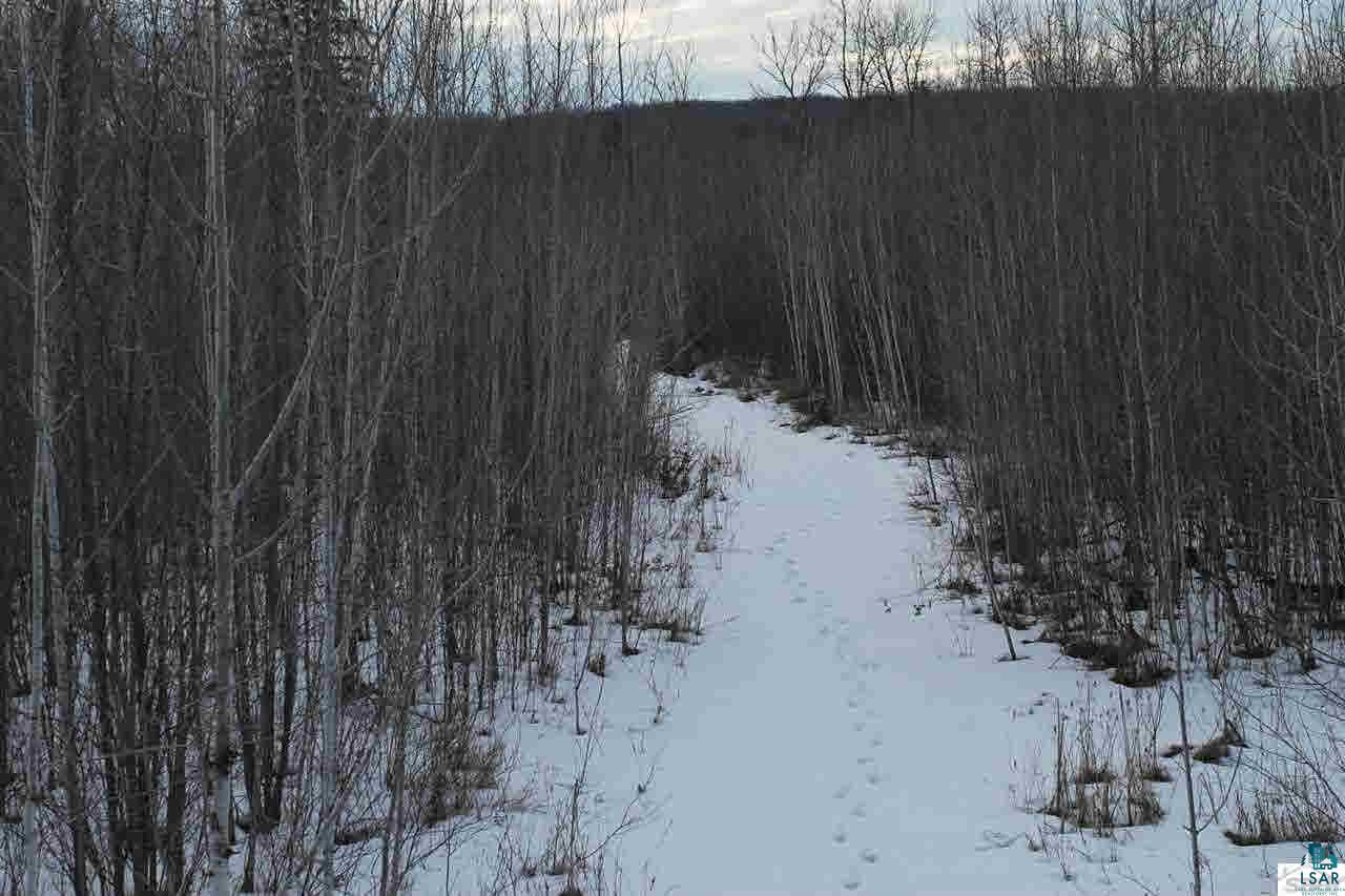 0 Deswart Road Herbster, WI 54844 - Photo 11 of 13 Gallery Image 11