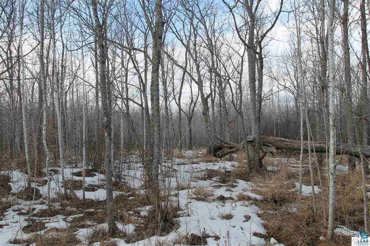 0 Deswart Road Herbster, WI 54844 - Photo 13 of 13 Gallery Image 13