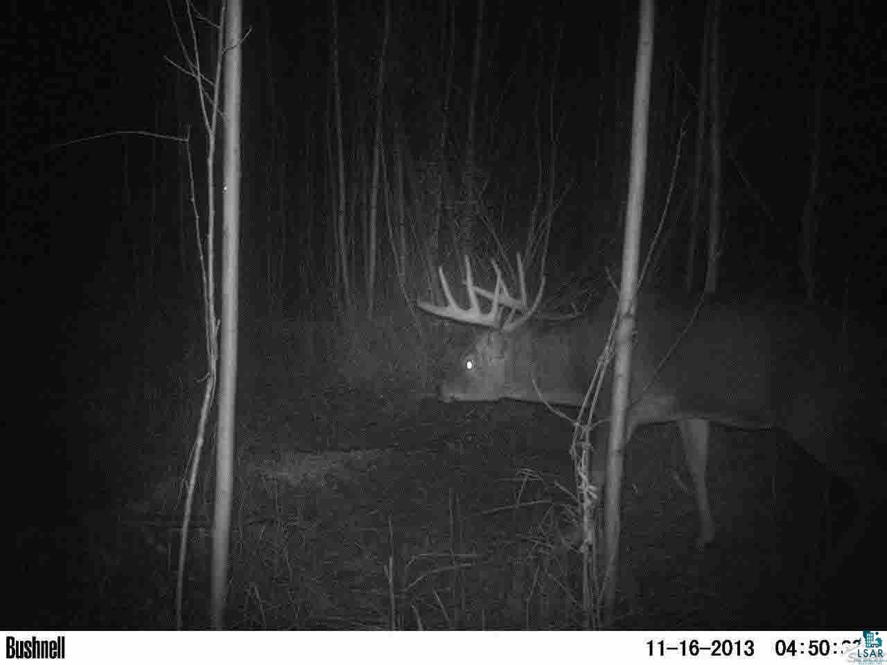 0 Deswart Road Herbster, WI 54844 - Photo 7 of 13 Gallery Image 7