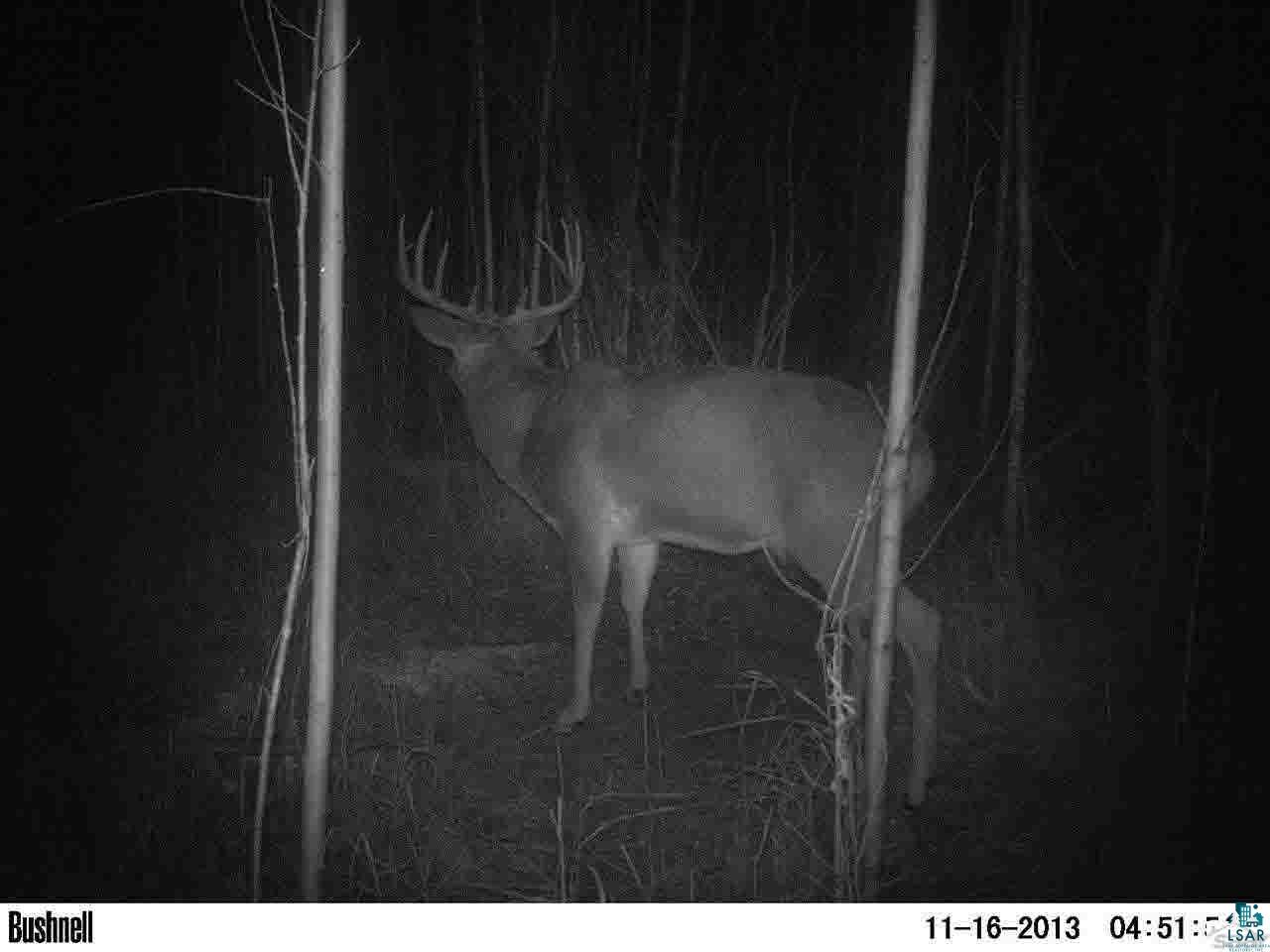 0 Deswart Road Herbster, WI 54844 - Photo 8 of 13 Gallery Image 8