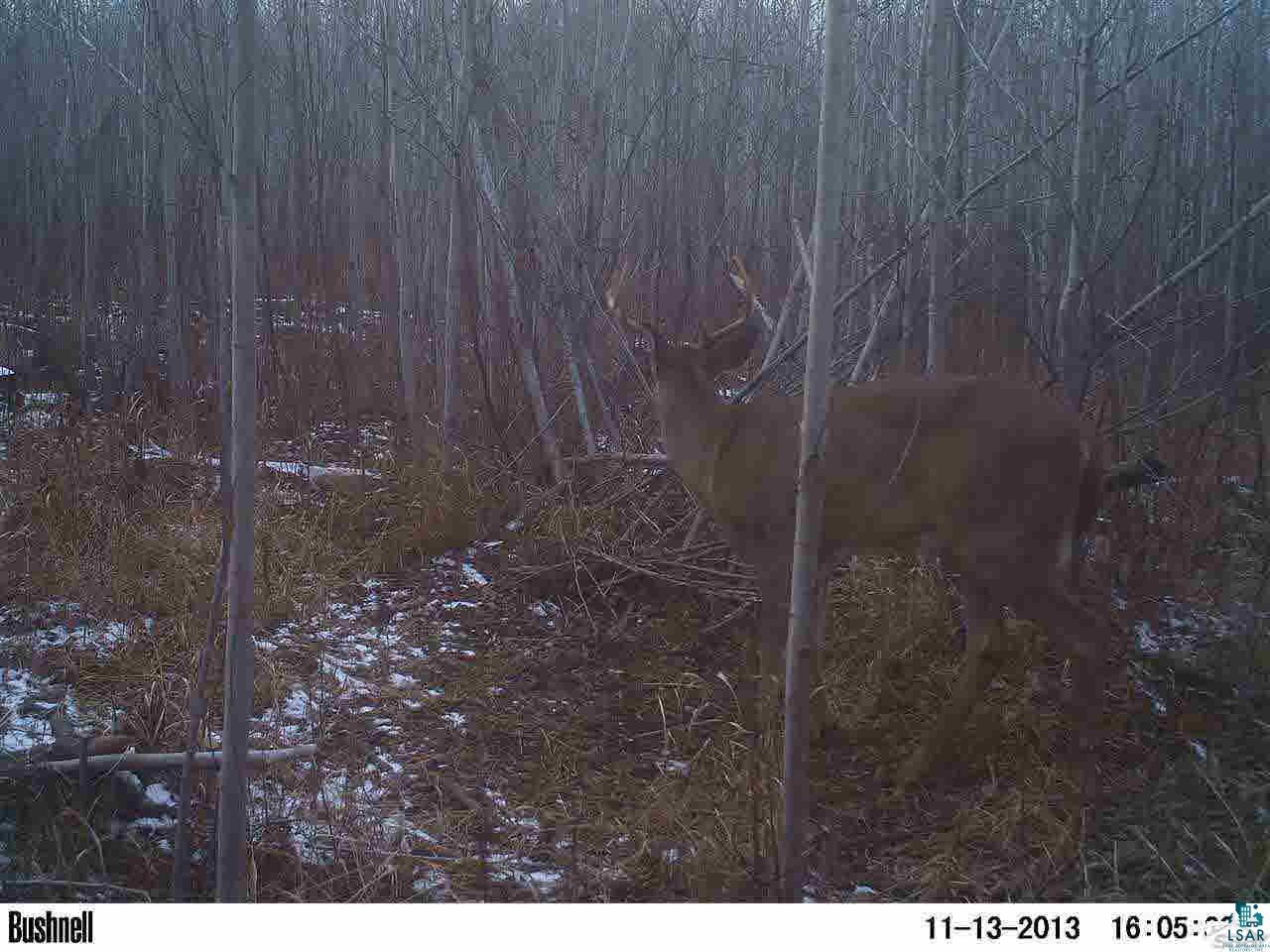 0 Deswart Road Herbster, WI 54844 - Photo 9 of 13 Gallery Image 9