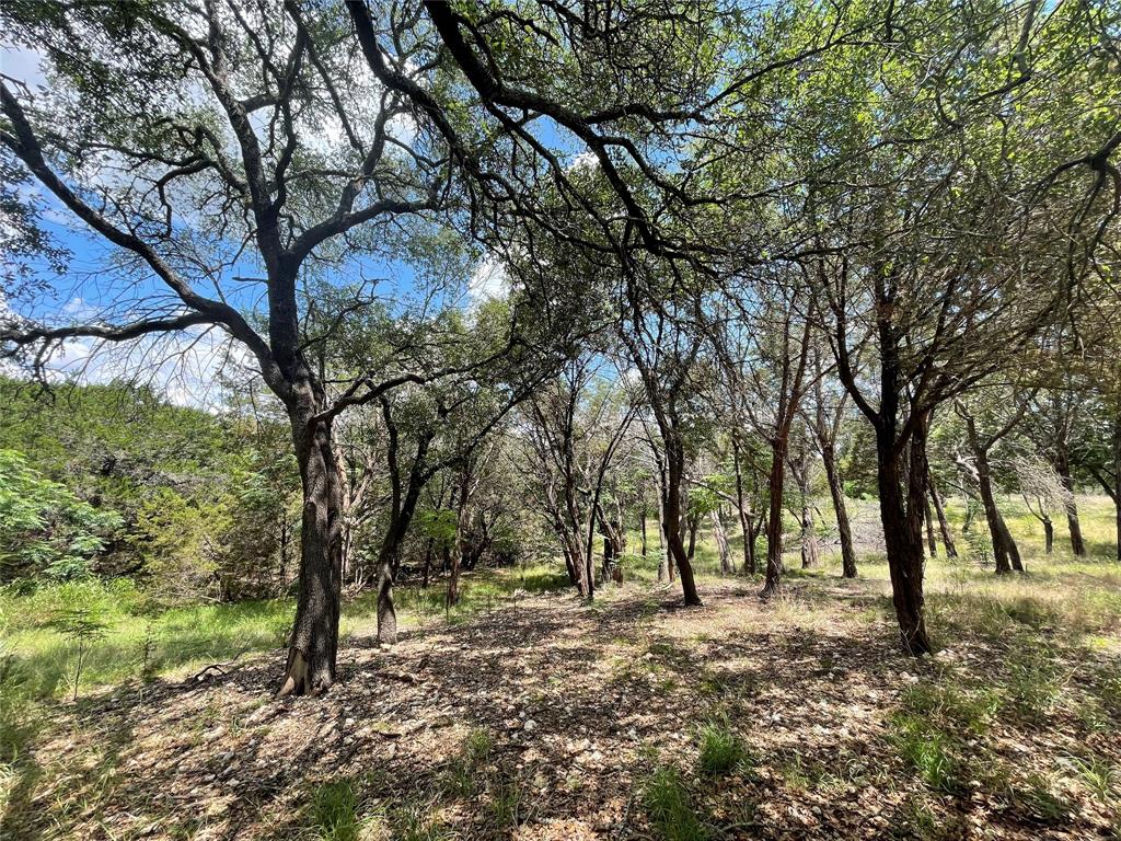 2000 Austin Hines Drive China Spring, TX 76633 - Photo 8 of 16