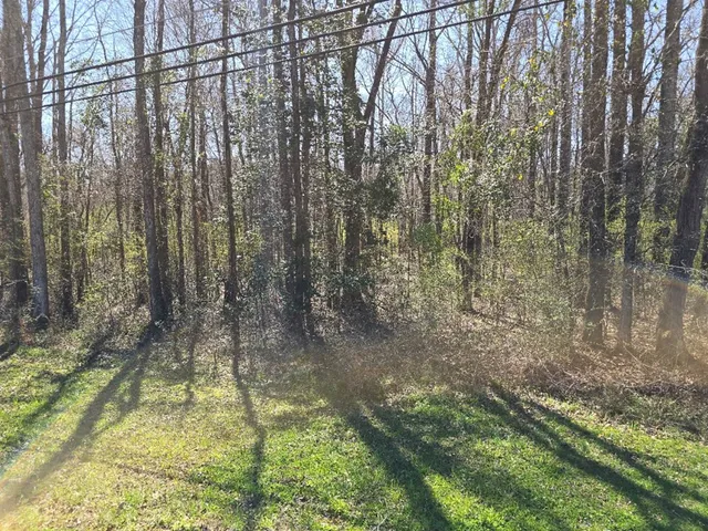 $18,000 | 0 Hwy 149 Mendenhall Ms 39114, Mendenhall, MS 39114