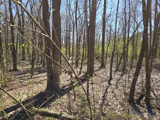 $18,000 | 0 Hwy 149 Mendenhall Ms 39114, Mendenhall, MS 39114