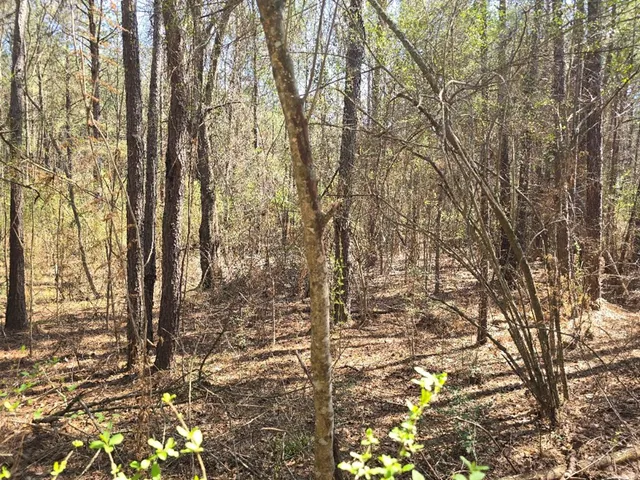 $18,000 | 0 Hwy 149 Mendenhall Ms 39114, Mendenhall, MS 39114