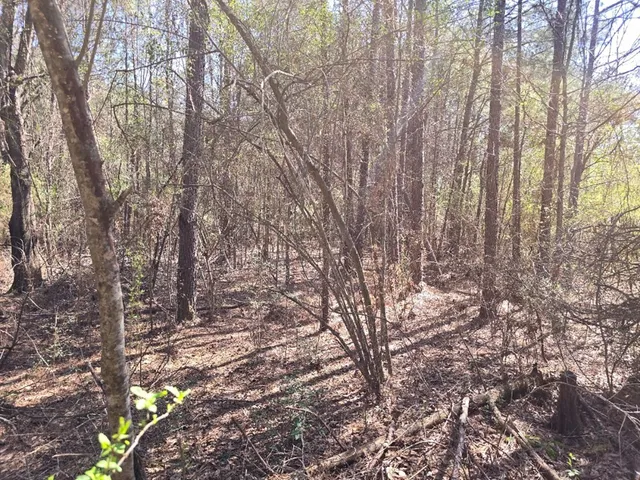 $18,000 | 0 Hwy 149 Mendenhall Ms 39114, Mendenhall, MS 39114