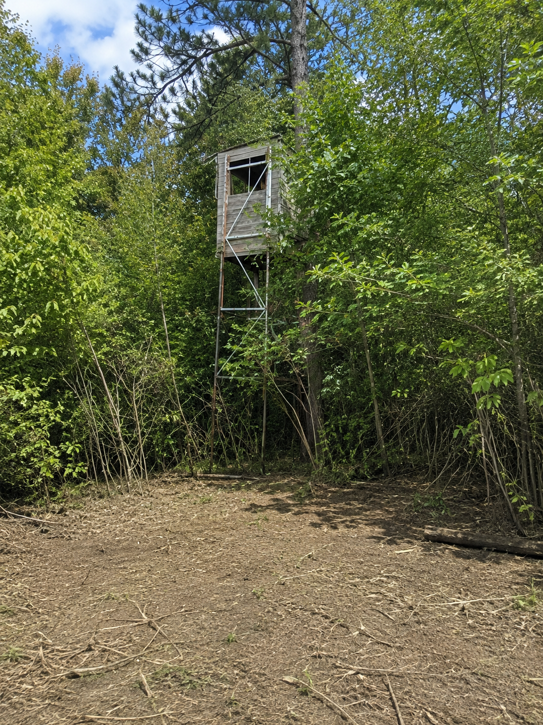 Tbd Chimney Road Nevis, MN 56467 - Photo 1 of 13 Gallery Image 1