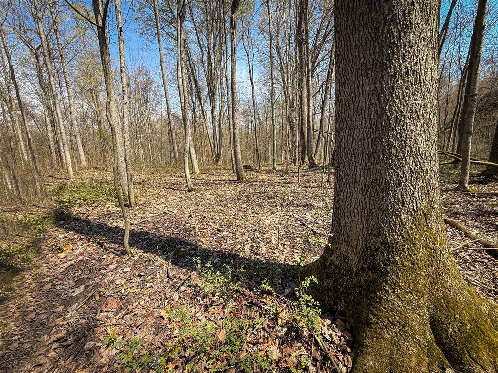 888 Fintches Corners Road Martville, NY 13111 - Photo 13 of 48