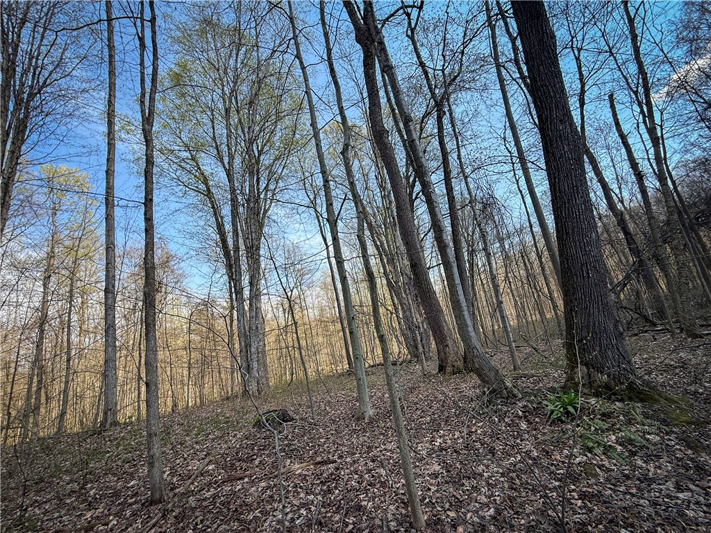 888 Fintches Corners Road Martville, NY 13111 - Photo 14 of 48