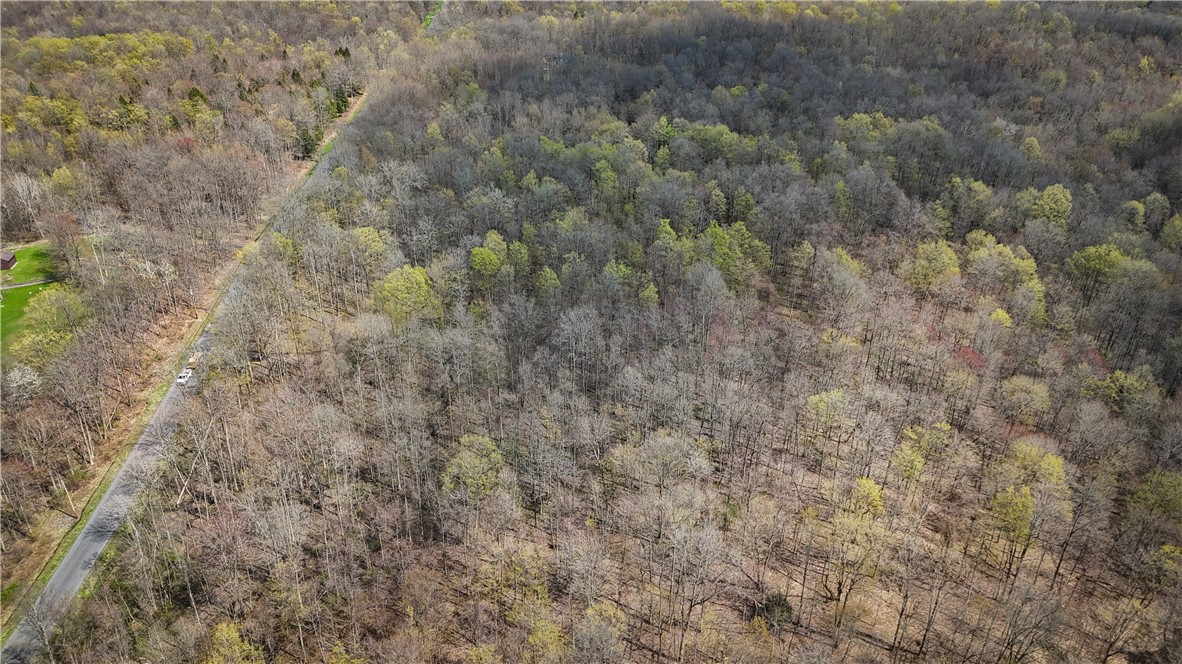 888 Fintches Corners Road Martville, NY 13111 - Photo 15 of 48