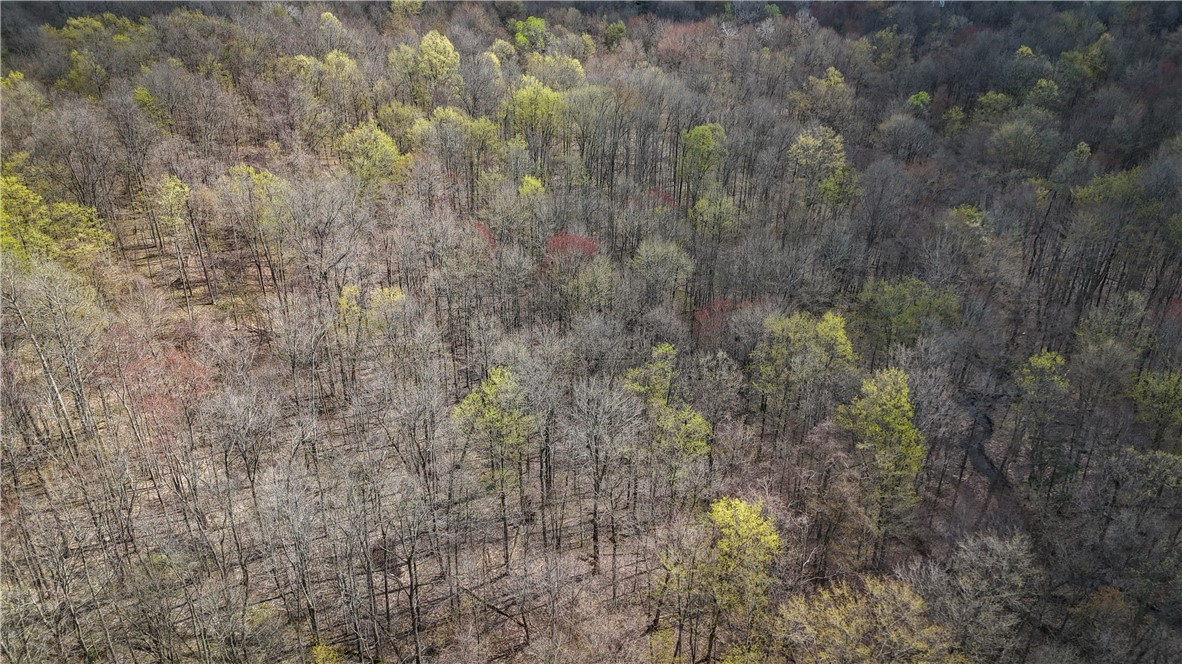 888 Fintches Corners Road Martville, NY 13111 - Photo 17 of 48