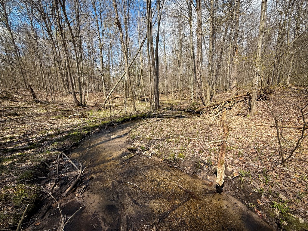 888 Fintches Corners Road Martville, NY 13111 - Photo 18 of 48