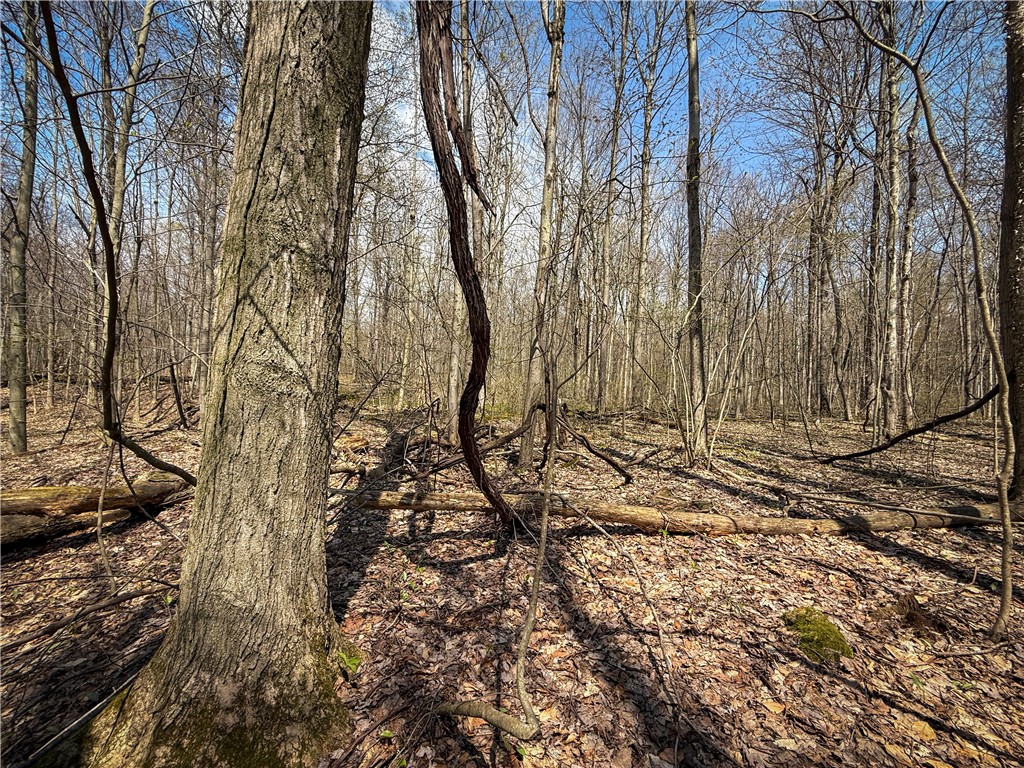 888 Fintches Corners Road Martville, NY 13111 - Photo 20 of 48