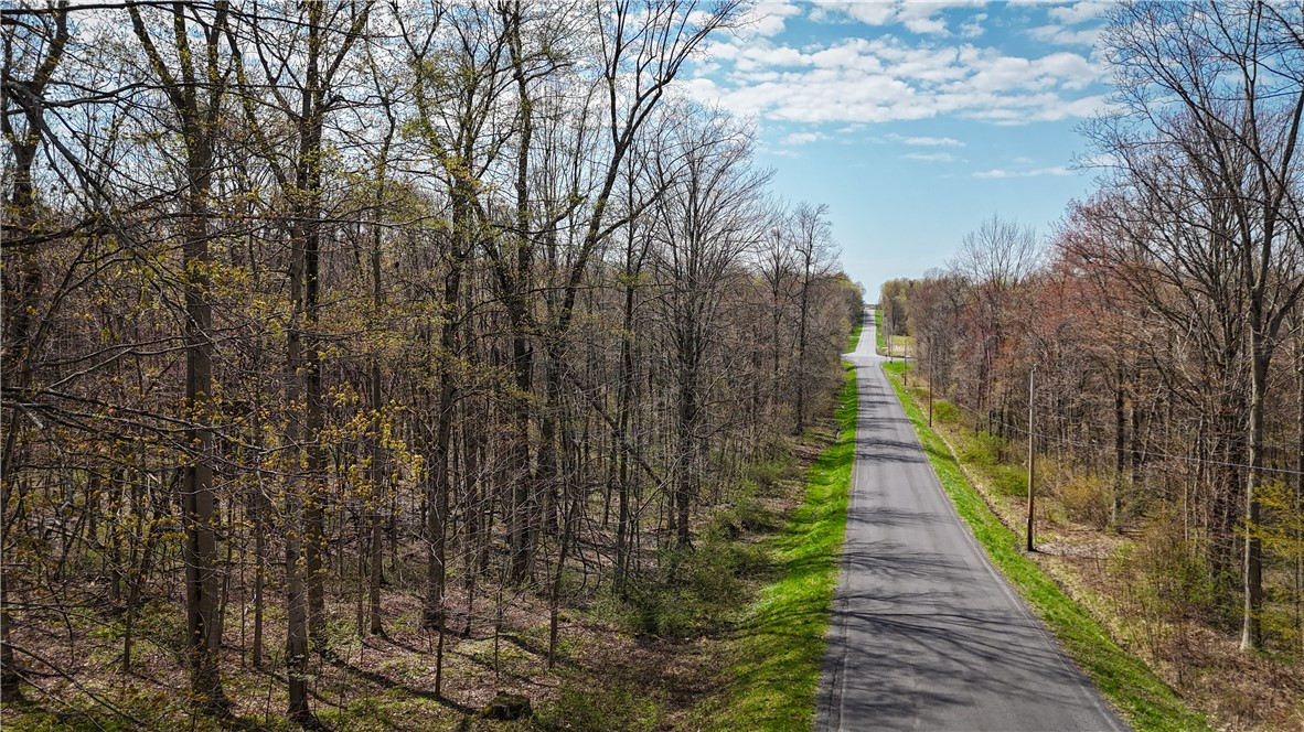 888 Fintches Corners Road Martville, NY 13111 - Photo 2 of 48