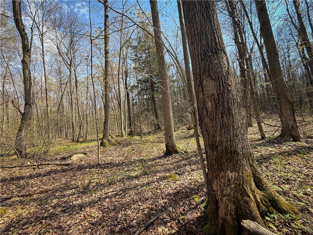 888 Fintches Corners Road Martville, NY 13111 - Photo 22 of 48