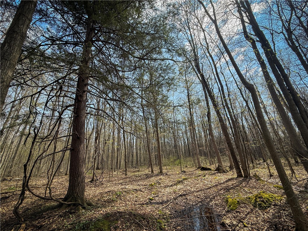 888 Fintches Corners Road Martville, NY 13111 - Photo 23 of 48