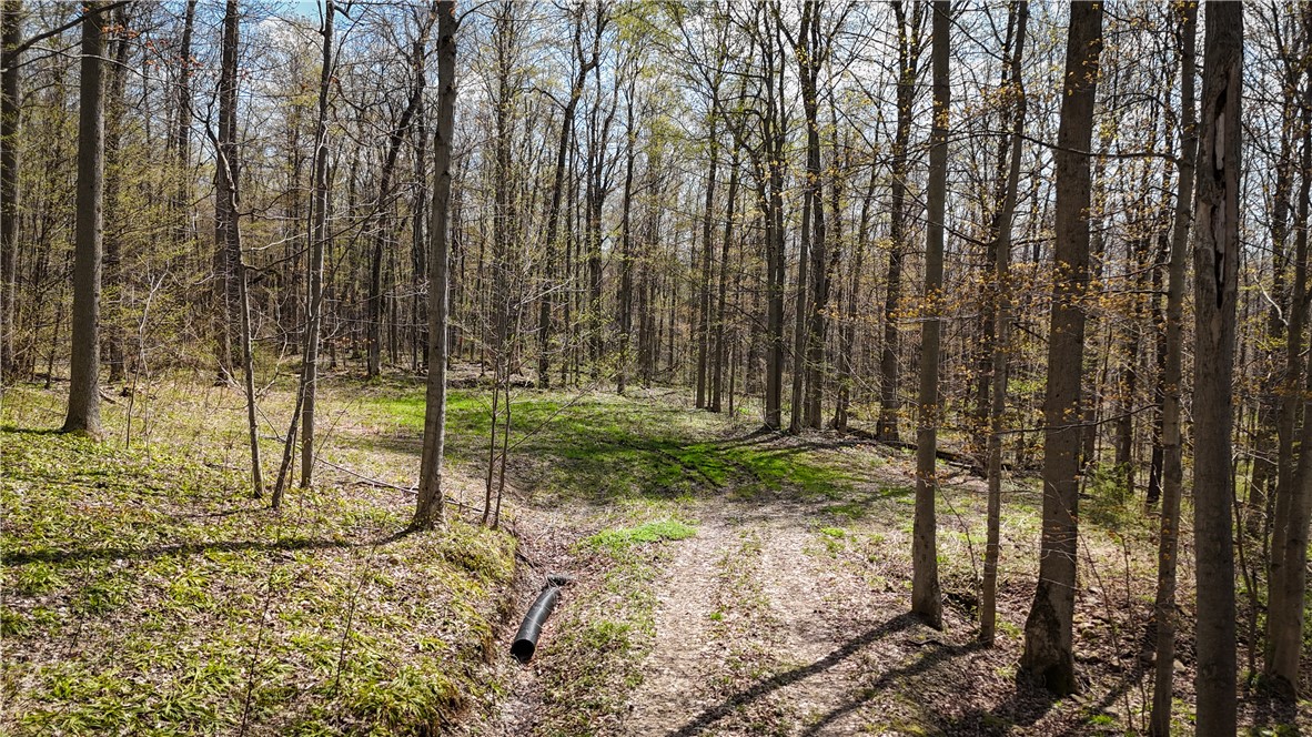 888 Fintches Corners Road Martville, NY 13111 - Photo 25 of 48