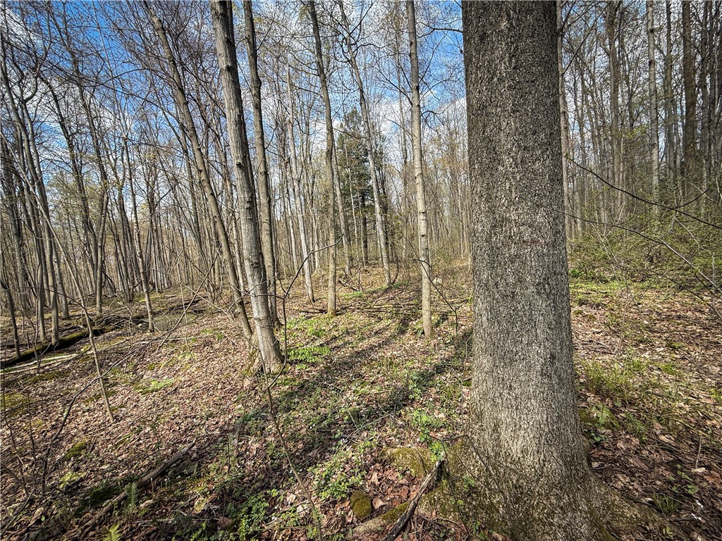 888 Fintches Corners Road Martville, NY 13111 - Photo 26 of 48